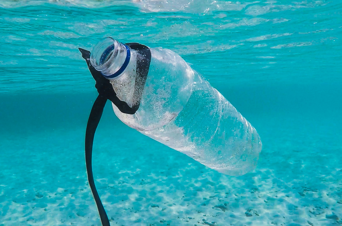 Plastic Bottle in the Water